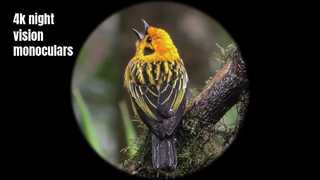 4K high-quality night vision monocular