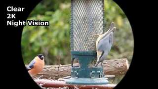 Capture Clear Video 2K night vision goggles