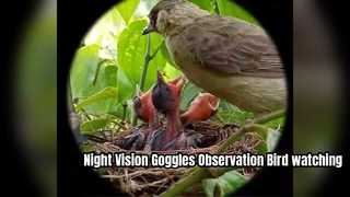Hondigi 4K Night Vision Goggles Observation Bird watching Outdoor Observation